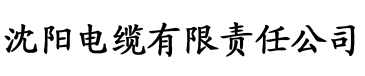 花样视频污电缆厂logo